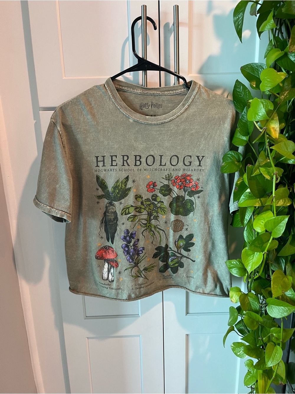 Harry Potter Herbology Top Medium